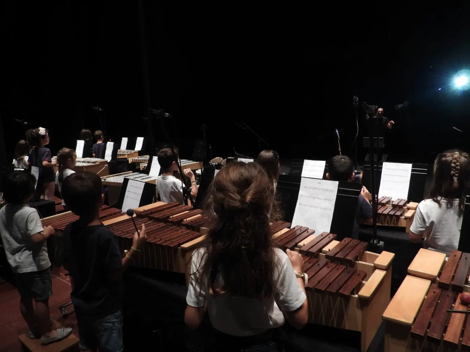 Concerto-Academia-Luisa-Todi