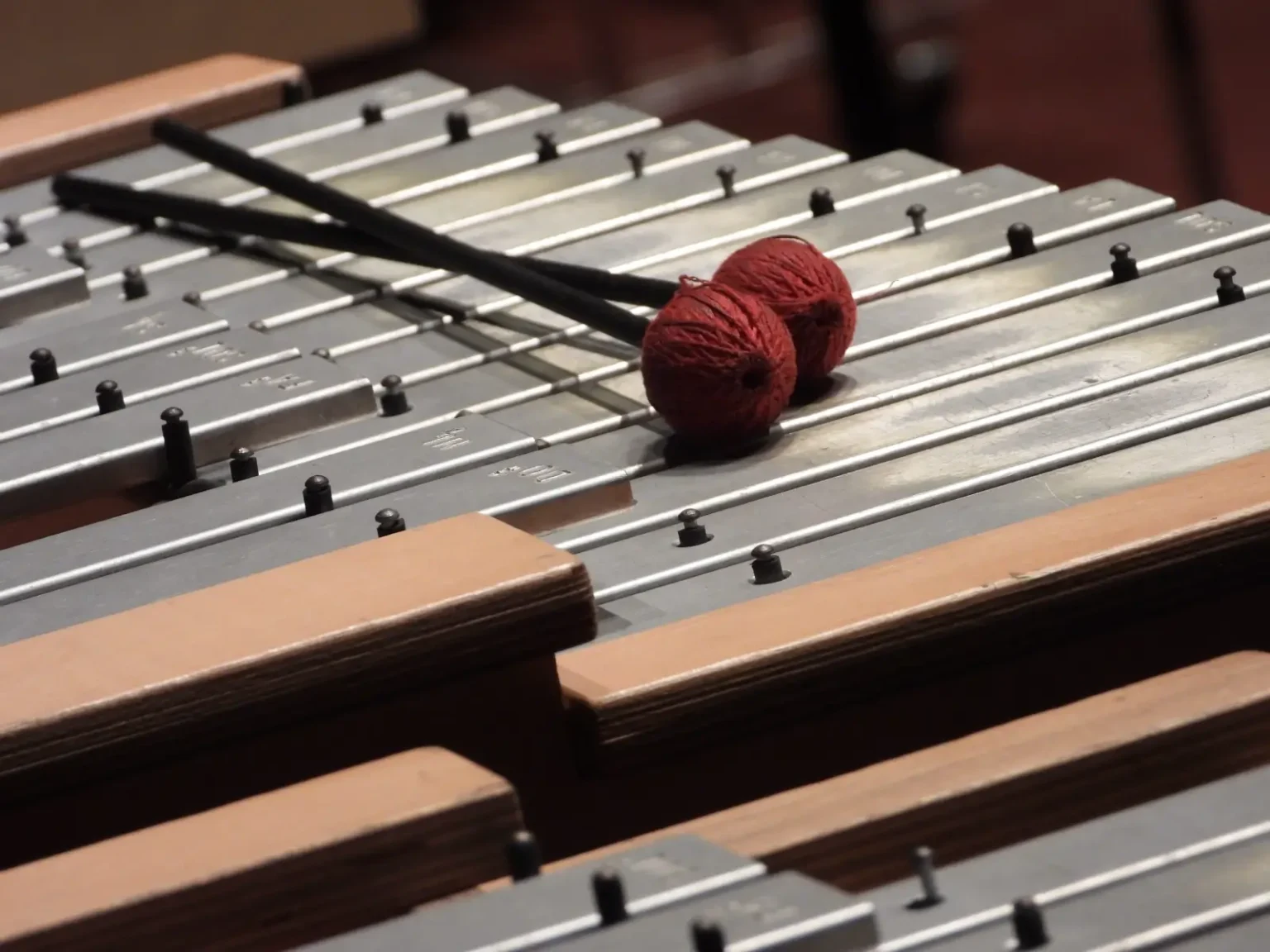 Instrumento-Academia-Luisa-Todi