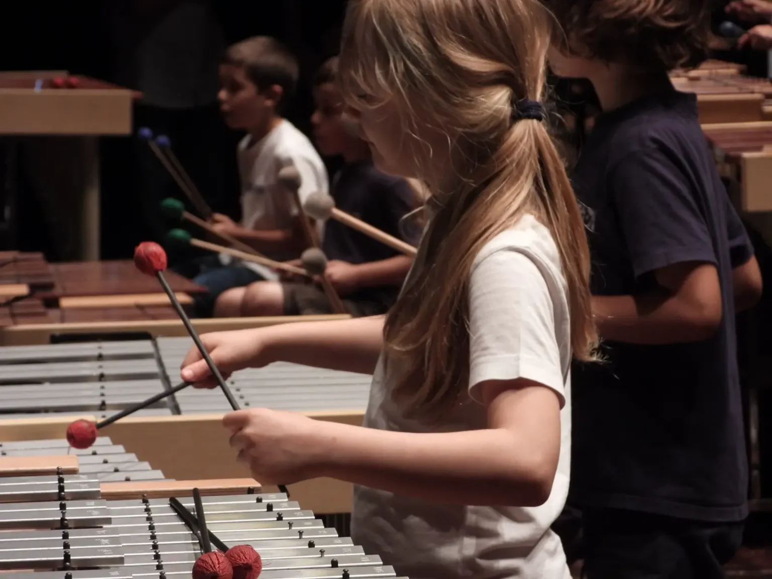 Tocar-Instrumento-Academia-Luisa-Todi