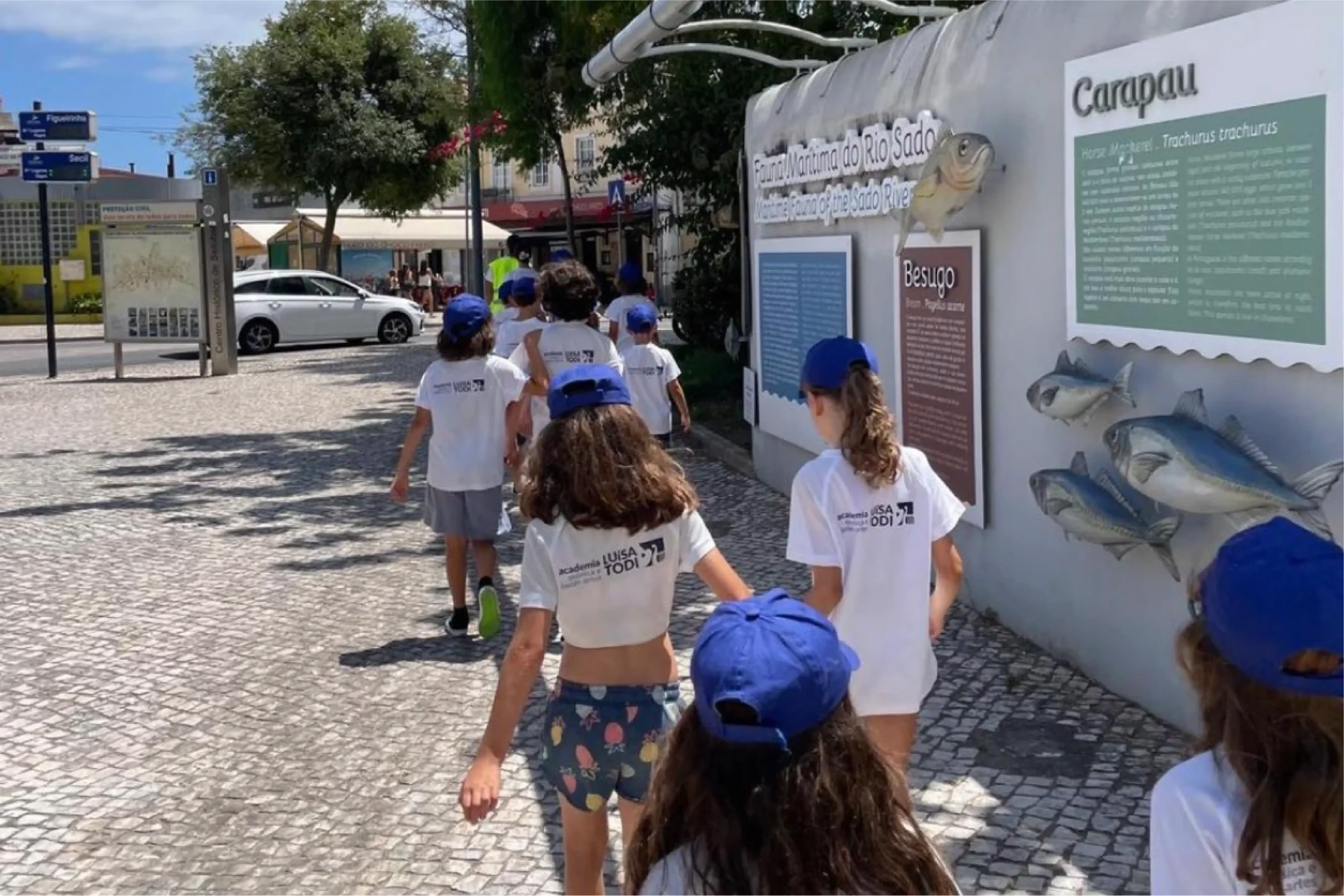 Passeios